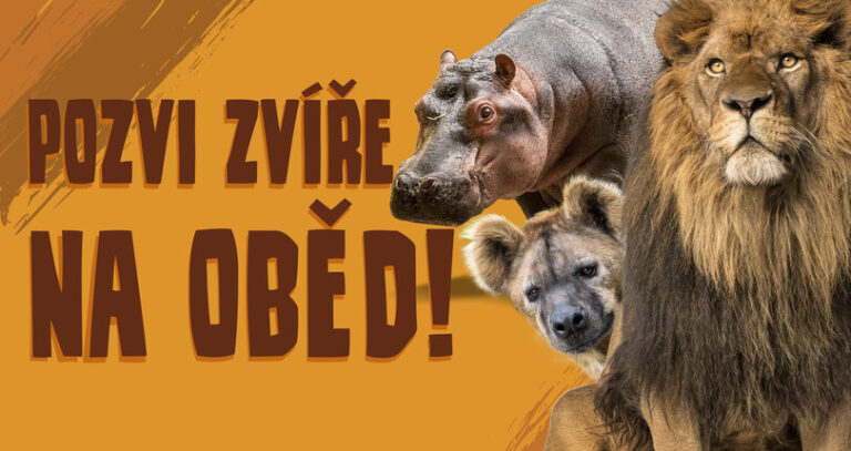 Přispěli jsme na krmení zvířat v zoo